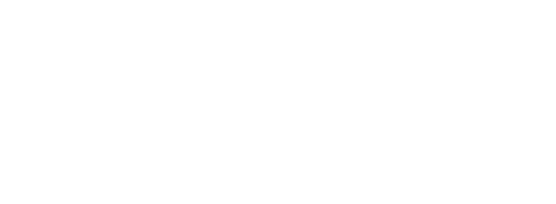aurora loonie white logo